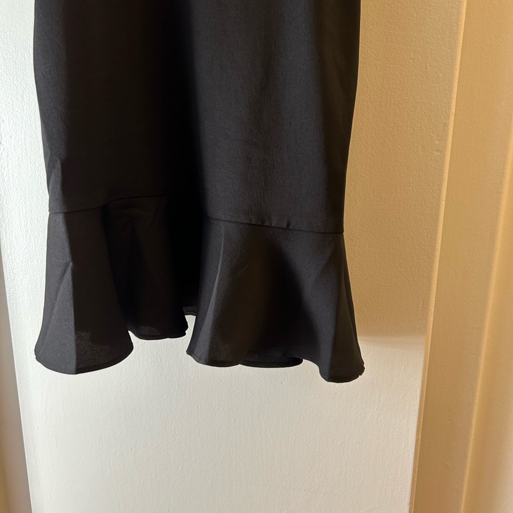 Express Dress - Picture 4 of 7